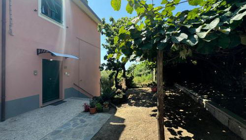 Ca' dii Bürsa - HOMY 5 TERRE - Foto 4, Garden, Garden view