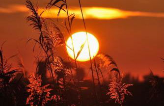 Il riposo dei Giganti - Photo 48