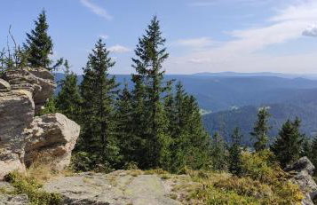 Apartamenty Kletno - Foto 33