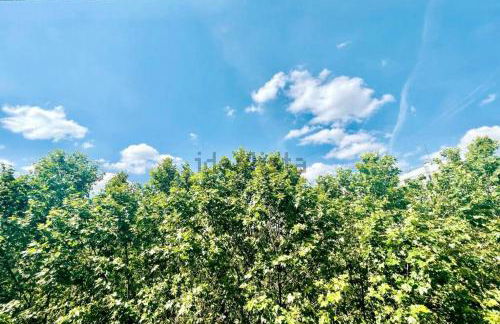 Espectacular apartamento en Cuzco / Alberto Alcocer - Foto 9