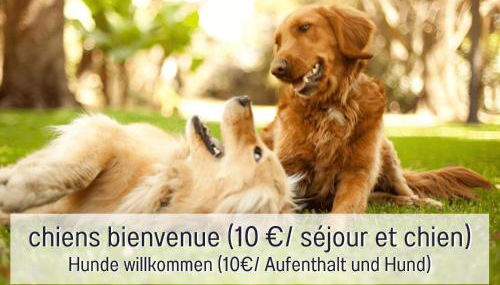 Chez Louna - Grand Gîte - Foto 2