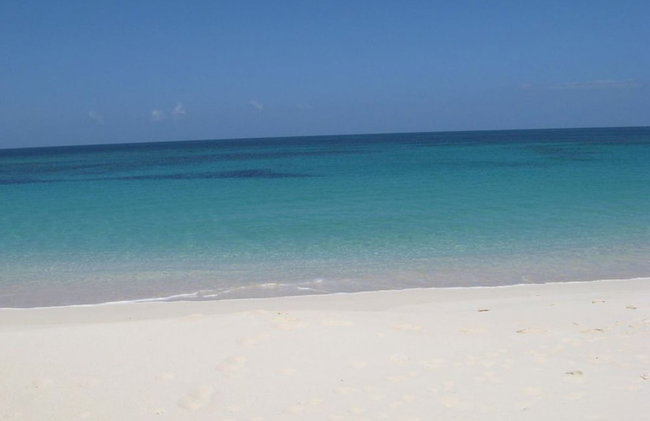 Buttonwood Reserve 1D - Foto 30