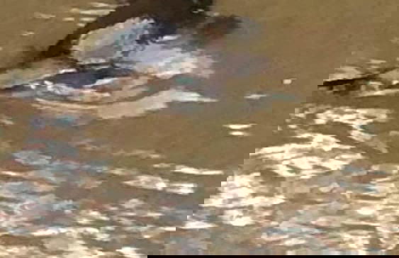 Valley Farm Vineyard Cottages - Foto 59