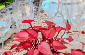 Holiday Home Croce with Spa - Foto 12