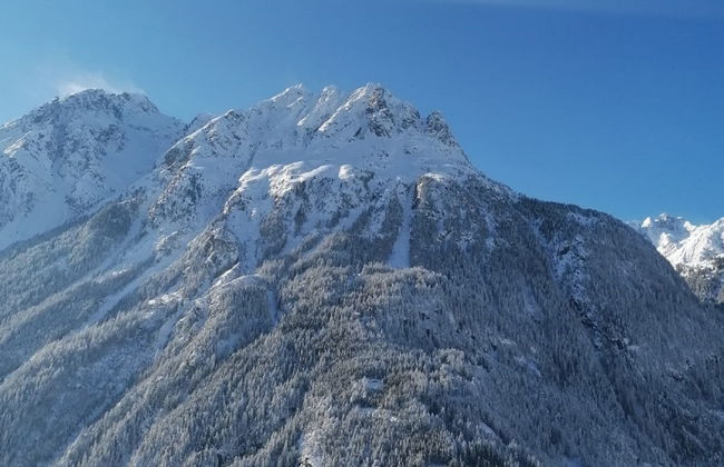 Ferienwohnung Plattner - Foto 77