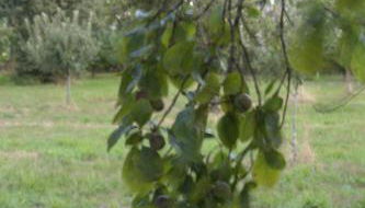 Casa de Arias - Photo 2