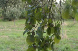 Casa de Arias - Photo 2