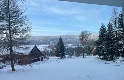 Lasóweczka - Foto 14