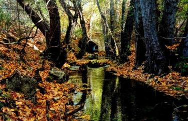 Alojamiento Rural Los Hacheros - Foto 48