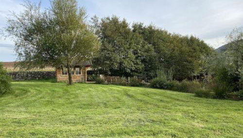 The Lily Pod - Foto 5, Garden, Garden view