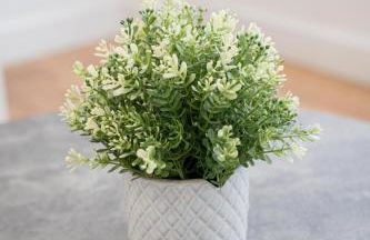 Sevenstay Apartments Fleet Street - Foto 73