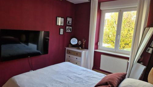 Cosy Appartement Complet centre-ville Montbéliard - Foto 3