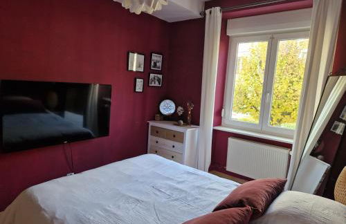 Cosy Appartement Complet centre-ville Montbéliard - Foto 3