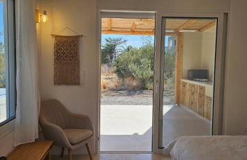 Gold Sea Nest - Foto 1