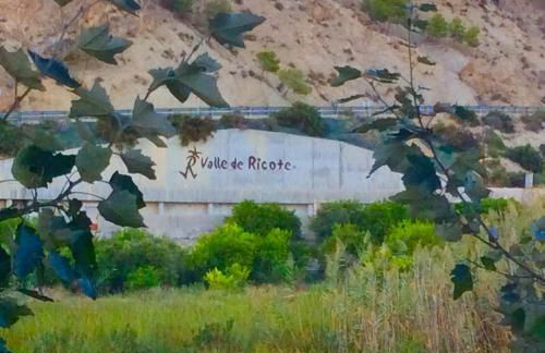 La Joya del Valle de Ricote - Foto 48