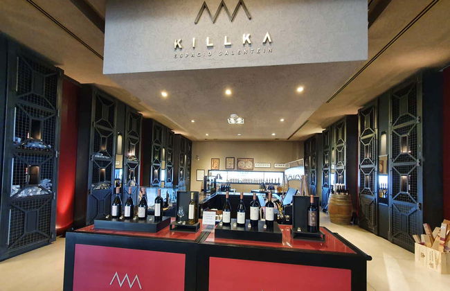 Tour pelo norte da região vitivinícola do Vale do Uco - Foto 3