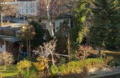 Tipp - Halle idyllisch am Fluss - Foto 28