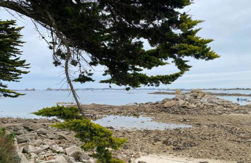 La maison Ti Billou, 6 pers, plage et GR 34 à 250m - Foto 23