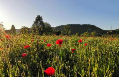 Wohlfühlen im Scandic Homey - Foto 31