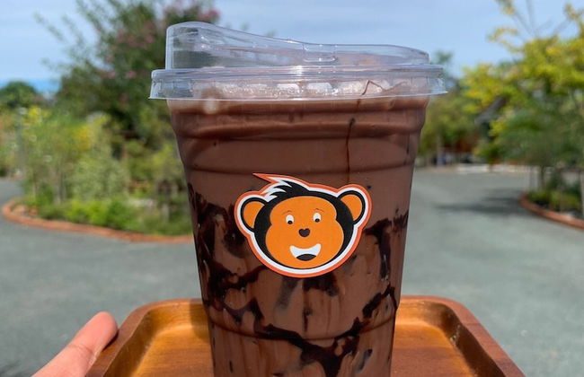 Monkey Cottage - Photo 63