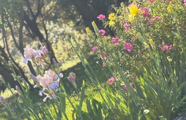 LA CAPANNA Casale in pietra con piscina - Foto 53