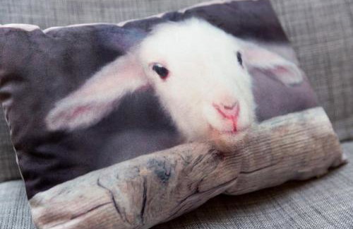 Luxury Cosy Cottage - Foto 10