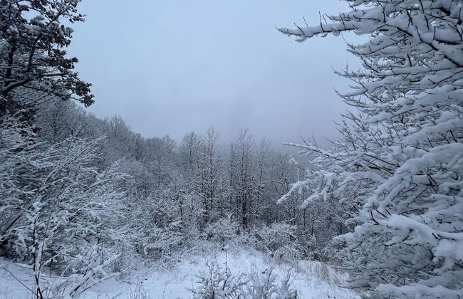 Valley Overlook - Foto 12