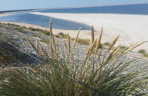 FeWo Nero Comfortable holiday residence - Foto 28