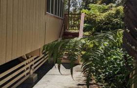 Local Living in Volcano Hawaii Breeze&5 mins to Volcano National Park - Foto 41