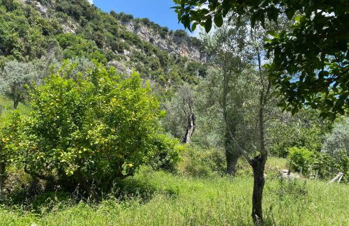 Gauro casa vacanze - Foto 64