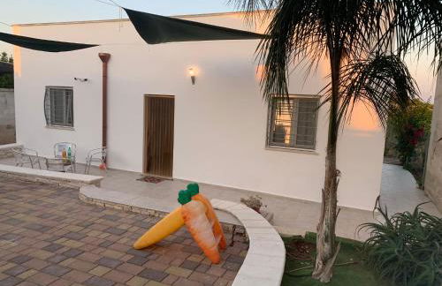 Il Fenicottero - Foto 21