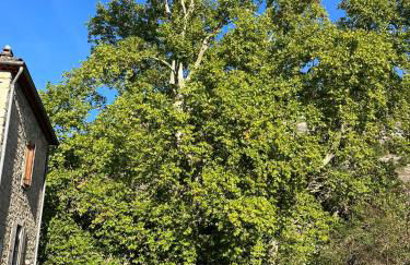 Le Gîte du bonheur - Foto 11