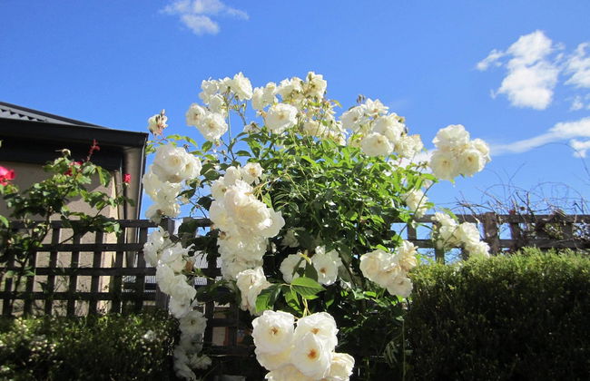 Arendon Cottage - Foto 22