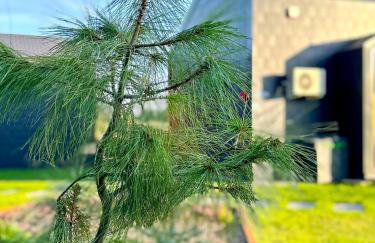 Szumiące Trawy w Borach Tucholskich-Nowa Sauna - Foto 53