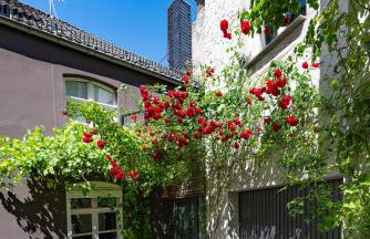 Gästehaus Vanille & Chocolat - Foto 30