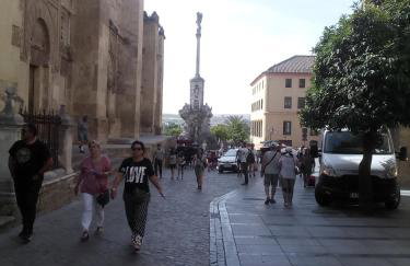 Lineros 24 - Foto 17