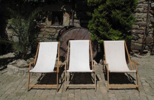 A Lagosta Perdida - Foto 7