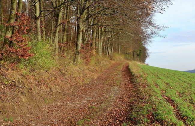 Apartment in Lowensen With Terrace - Foto 40