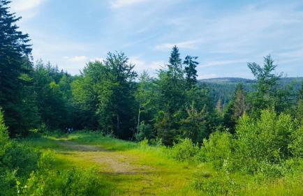 Flowmove Laliki - Foto 14