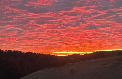 Ferienwohnung Aussicht, Monheimer Alb, Altmühltal - Foto 52