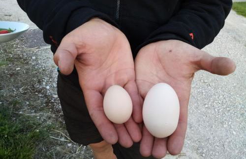 Gîte indépendant avec étang - 3 chambres, animaux admis - FR-1-583-382 - Foto 25
