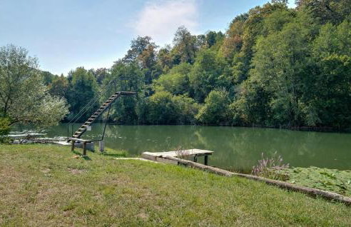 Stunning Home In Ladvenjak With Sauna - Foto 8