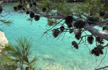 Sole house - Foto 63