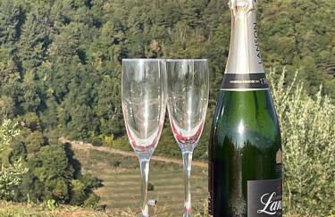 Casa Di Sylvia-enjoy tranquility and amazing views - Foto 9