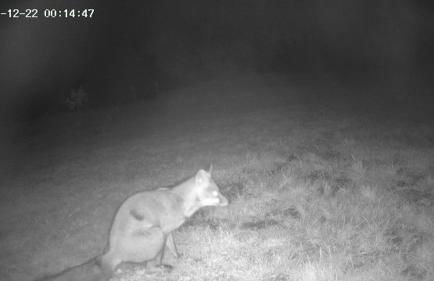 Il Casale di Dorothea - Foto 40