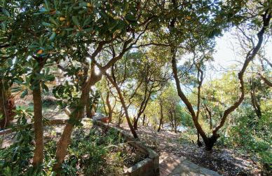Tuscan seafront apartment with private access to sea - Foto 38