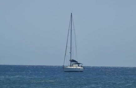 Mariposa Azul - Foto 35