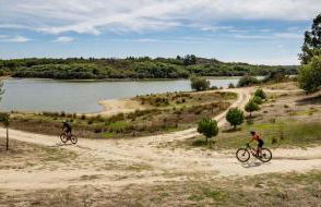 Casa das Rosas - Foto 45