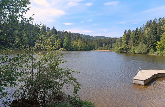 Balcony Views & Forest Calm - Photo 35
