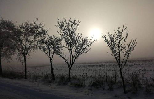 Ferienhaus Woddow Uckermark - Foto 22